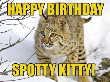 happy-birthday-spotty-kitty