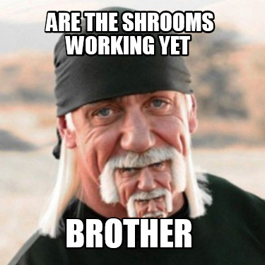 are-the-shrooms-working-yet-brother
