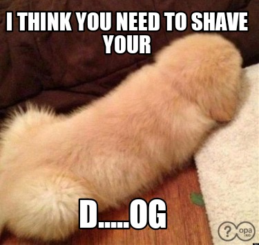 i-think-you-need-to-shave-your-d.....og