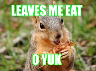 leaves-me-eat-o-yuk