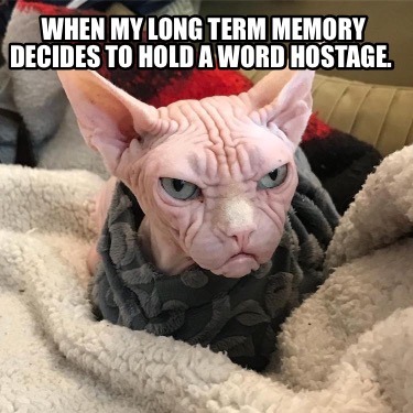 when-my-long-term-memory-decides-to-hold-a-word-hostage