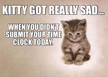 kitty-got-really-sad...-when-you-didnt-submit-your-time-clock-today