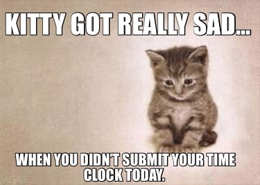 kitty-got-really-sad...-when-you-didnt-submit-your-time-clock-today6