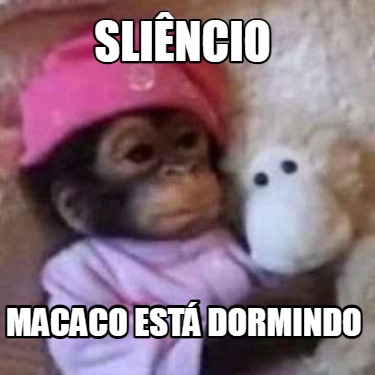 slincio-macaco-est-dormindo