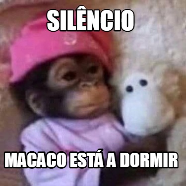 silncio-macaco-est-a-dormir