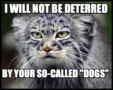 i-will-not-be-deterred-by-your-so-called-dogs