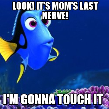 look-its-moms-last-nerve-im-gonna-touch-it