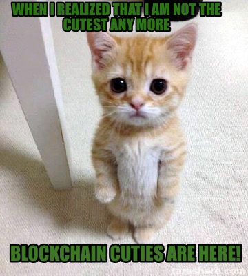 Meme Creator Funny When I Realized That I Am Not The Cutest Any More Blockchain Cuties Are Here Meme Generator At Memecreator Org Meme Creator Funny When I Realized That I Am Not The Cutest Any More Blockchain Cuties Are Here Meme Generator At Memecreator Org