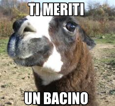 ti-meriti-un-bacino
