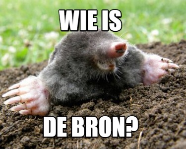 wie-is-de-bron