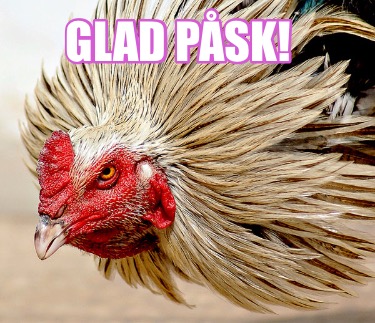glad-psk7