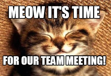 meow-its-time-for-our-team-meeting