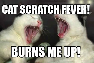 cat-scratch-fever-burns-me-up