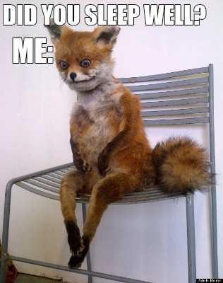 Meme Creator - Funny Did you sleep well? Me: Meme Generator at ...