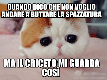 quando-dico-che-non-voglio-andare-a-buttare-la-spazzatura-ma-il-criceto-mi-guard