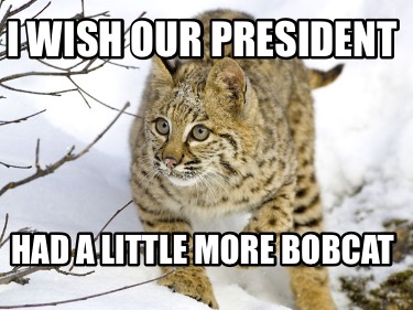 i-wish-our-president-had-a-little-more-bobcat