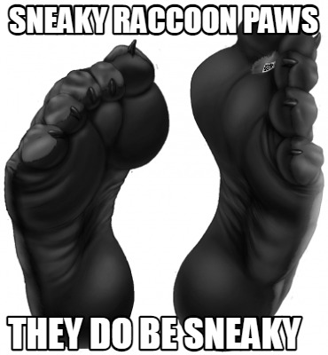 sneaky-raccoon-paws-they-do-be-sneaky