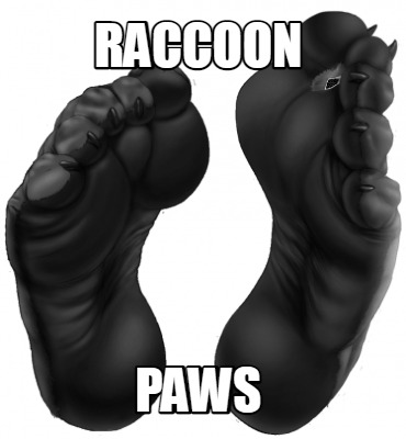 raccoon-paws