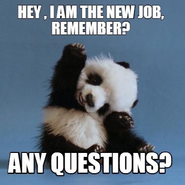Meme Creator Funny Hey I Am The New Job Remember Any Questions Meme Generator At Memecreator Org