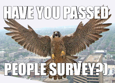 have-you-passed-people-survey