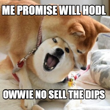 me-promise-will-hodl-owwie-no-sell-the-dips