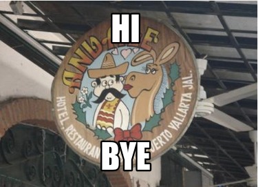 hi-bye47