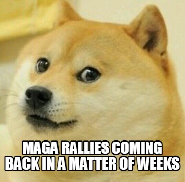 maga-rallies-coming-back-in-a-matter-of-weeks