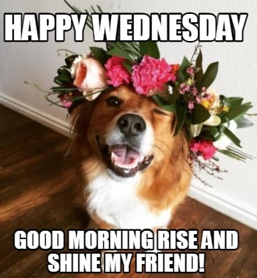 happy-wednesday-good-morning-rise-and-shine-my-friend