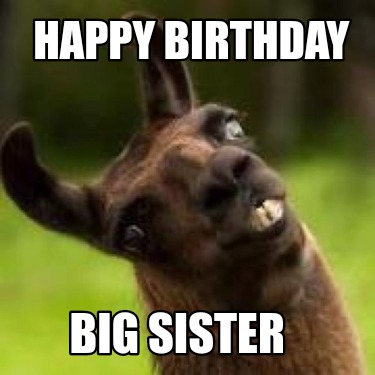 Meme Creator - Funny HAPPY BIRTHDAY Big sister Meme Generator at ! Meme Creator - Funny HAPPY BIRTHDAY Big sister Meme Generator at !