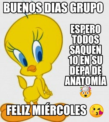 feliz miercoles memes