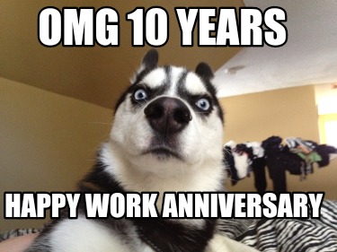 Meme Creator - Funny OMG 10 Years Happy Work Anniversary Meme Generator at  !