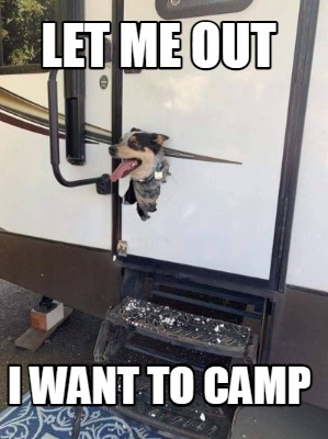 let-me-out-i-want-to-camp1