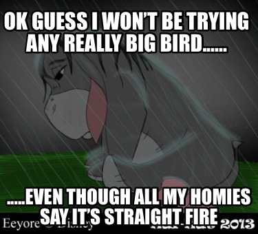 ok-guess-i-wont-be-trying-any-really-big-bird......-.....even-though-all-my-homi