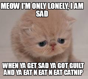 meow-im-only-lonely-i-am-sad-when-ya-get-sad-ya-got-guilt-and-ya-eat-n-eat-n-eat