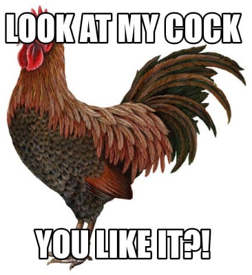 look-at-my-cock-you-like-it