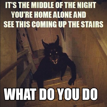 what-do-you-do7