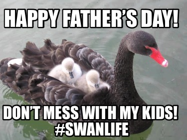 happy-fathers-day-dont-mess-with-my-kids-swanlife