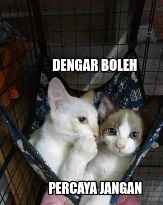 dengar-boleh-percaya-jangan