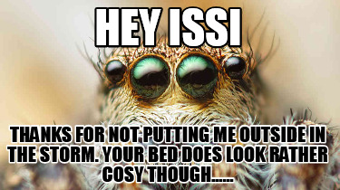 hey-issi-thanks-for-not-putting-me-outside-in-the-storm.-your-bed-does-look-rath