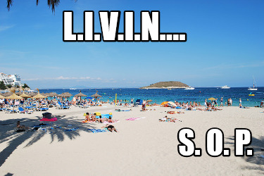 l.i.v.i.n....-s.-o.-p