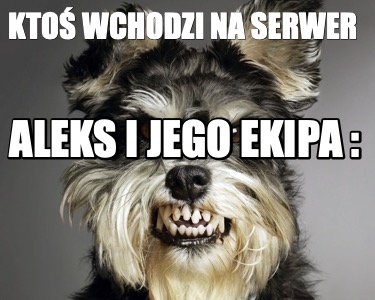 kto-wchodzi-na-serwer-aleks-i-jego-ekipa-