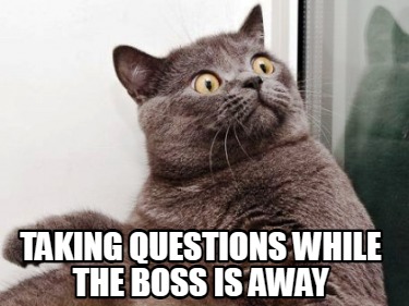 taking-questions-while-the-boss-is-away