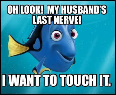 Looking for a husband meme