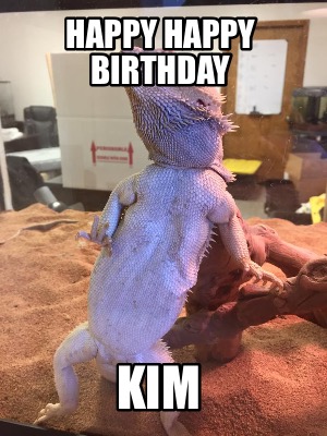Meme Creator - Funny HAPPY HAPPY BIRTHDAY KIM Meme Generator at ! Meme Creator - Funny HAPPY HAPPY BIRTHDAY KIM Meme Generator at !