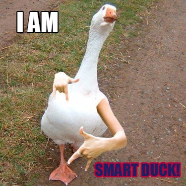 i-am-smart-duck