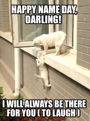 Meme Creator Funny Happy Name Day Darling I Will Always Be There For You To Laugh Meme Generator At Memecreator Org