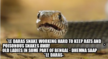 Meme Creator - Funny *le daras snake working hard to keep rats and  poisonous snakes away Meme Generator at !