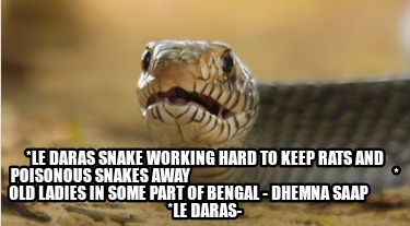 Meme Creator - Funny *le daras snake working hard to keep rats and poisonous snakes away Meme Generator at ! Meme Creator - Funny *le daras snake working hard to keep rats and poisonous snakes away Meme Generator at !