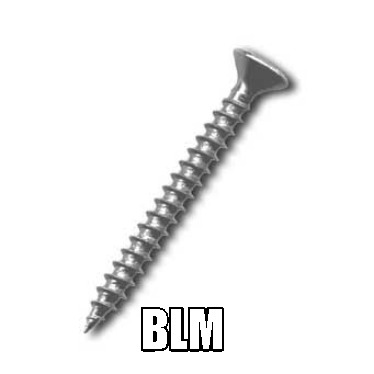 blm89