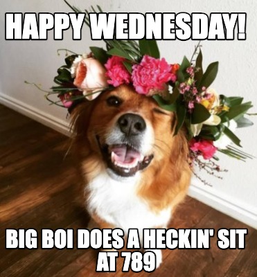 happy-wednesday-big-boi-does-a-heckin-sit-at-789